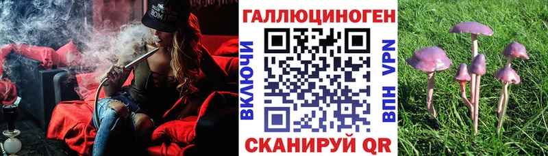 Галлюциногенные грибы прущие грибы Закаменск